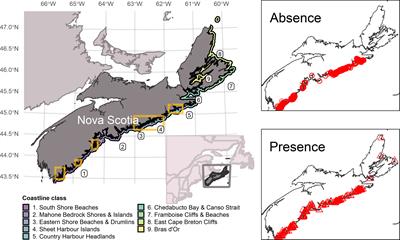 Fine-scale ensemble species distribution modeling of eelgrass (Zostera marina) to inform nearshore conservation planning and habitat management